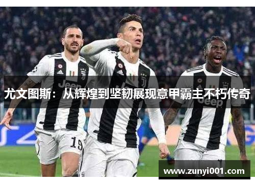 尤文图斯：从辉煌到坚韧展现意甲霸主不朽传奇
