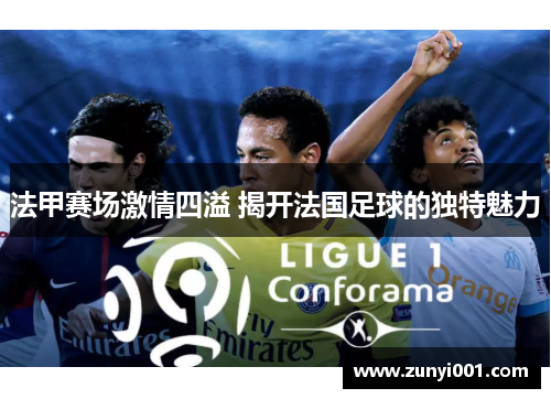 法甲赛场激情四溢 揭开法国足球的独特魅力
